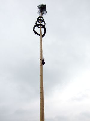 1005 maibaumfest 6