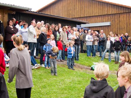 1005 maibaumfest 8