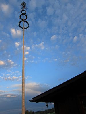 1205_maibaum.jpg