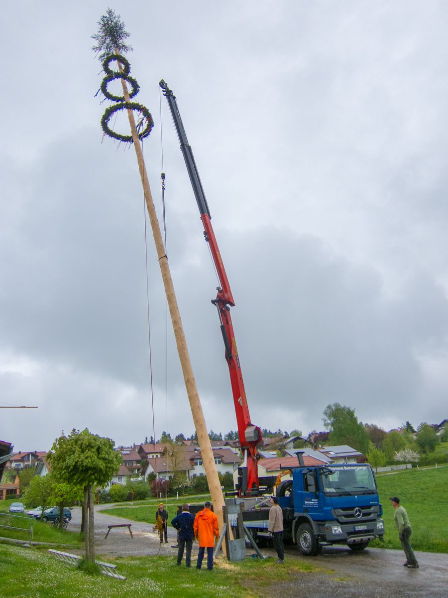 1505-maibaum aufstellen-IMG 7688-027