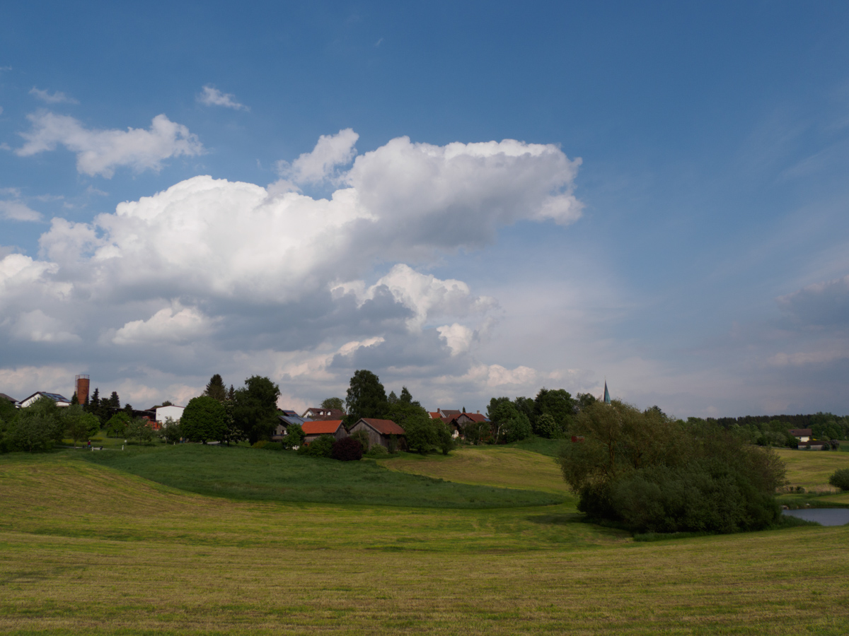 1505-maibaumfest- 07