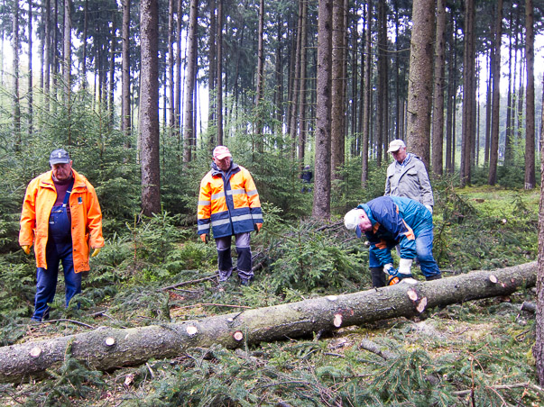 Maibaumumlegen 2015