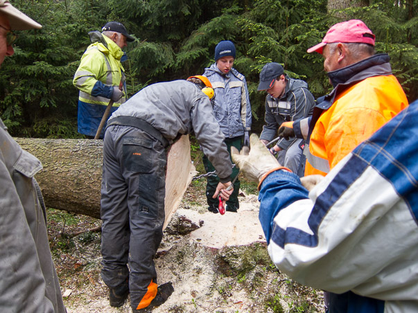 Maibaumumlegen 2015