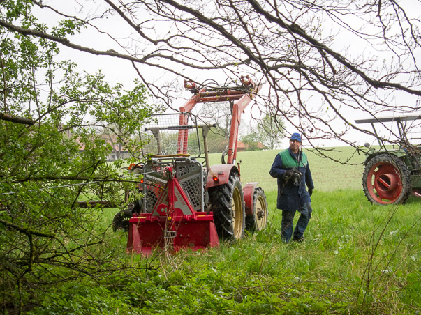 Maibaumumlegen 2015
