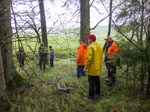 Maibaumumlegen 2015