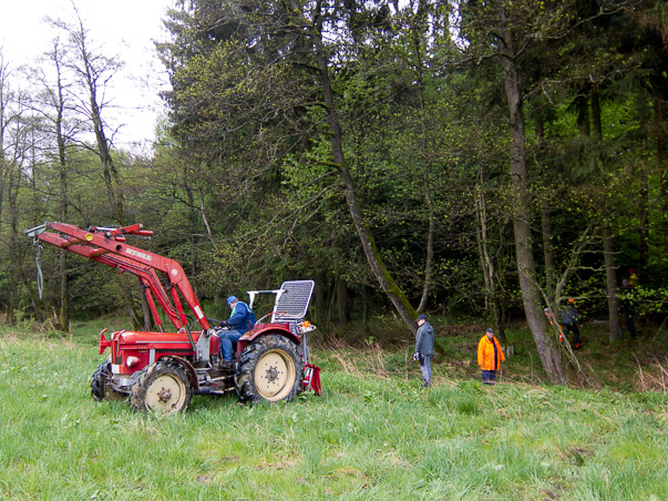 Maibaumumlegen 2015