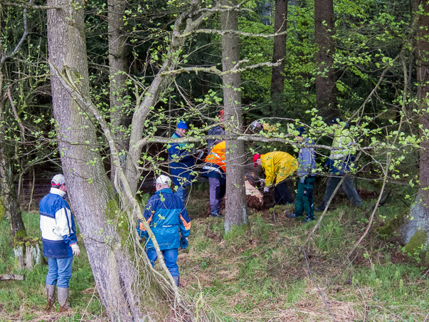 Maibaumumlegen 2015