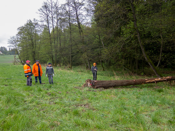 Maibaumumlegen 2015