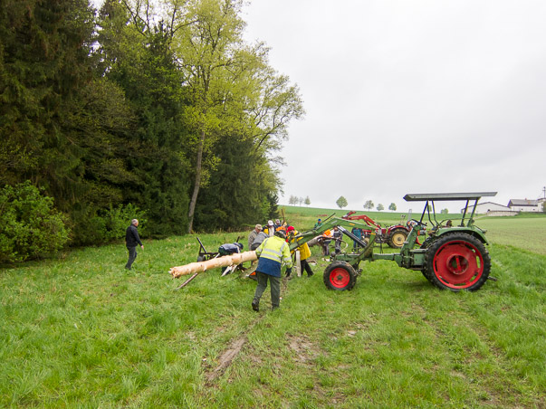 Maibaumumlegen 2015
