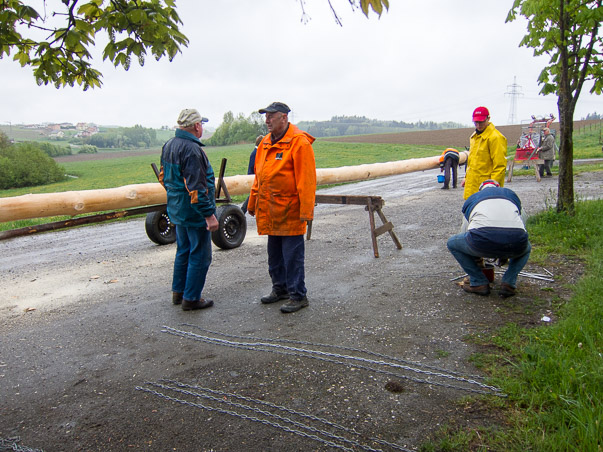 Maibaumumlegen 2015
