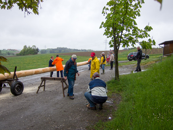 Maibaumumlegen 2015