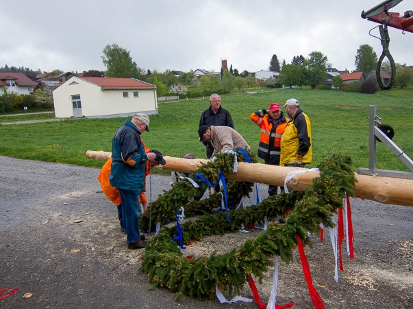 Maibaumumlegen 2015