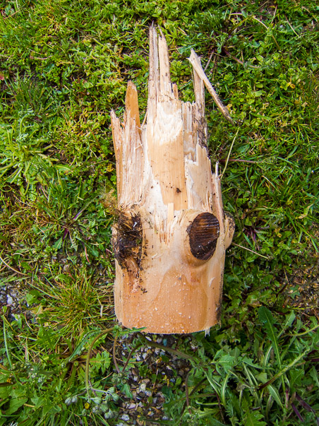 Maibaumumlegen 2015