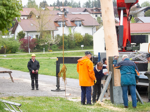 Maibaumumlegen 2015