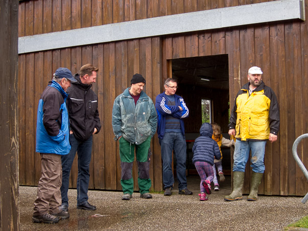 Maibaumumlegen 2015