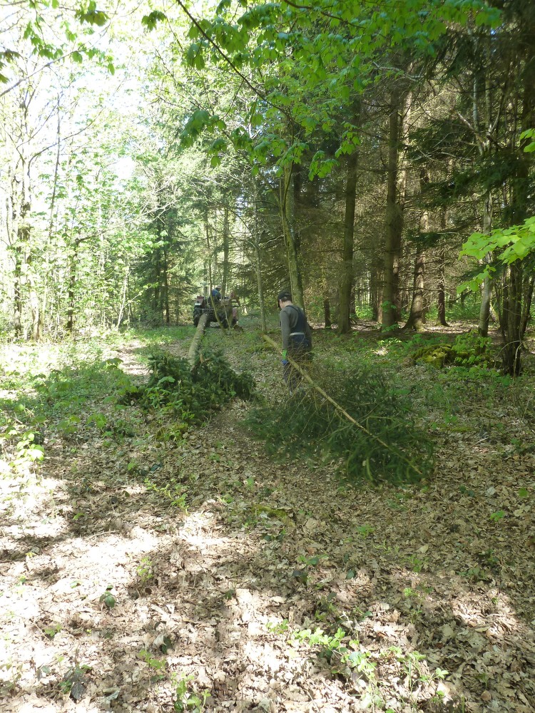 1604-maibaum-aufstellen-08.JPG