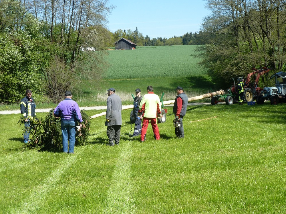 1604-maibaum-aufstellen-14.JPG