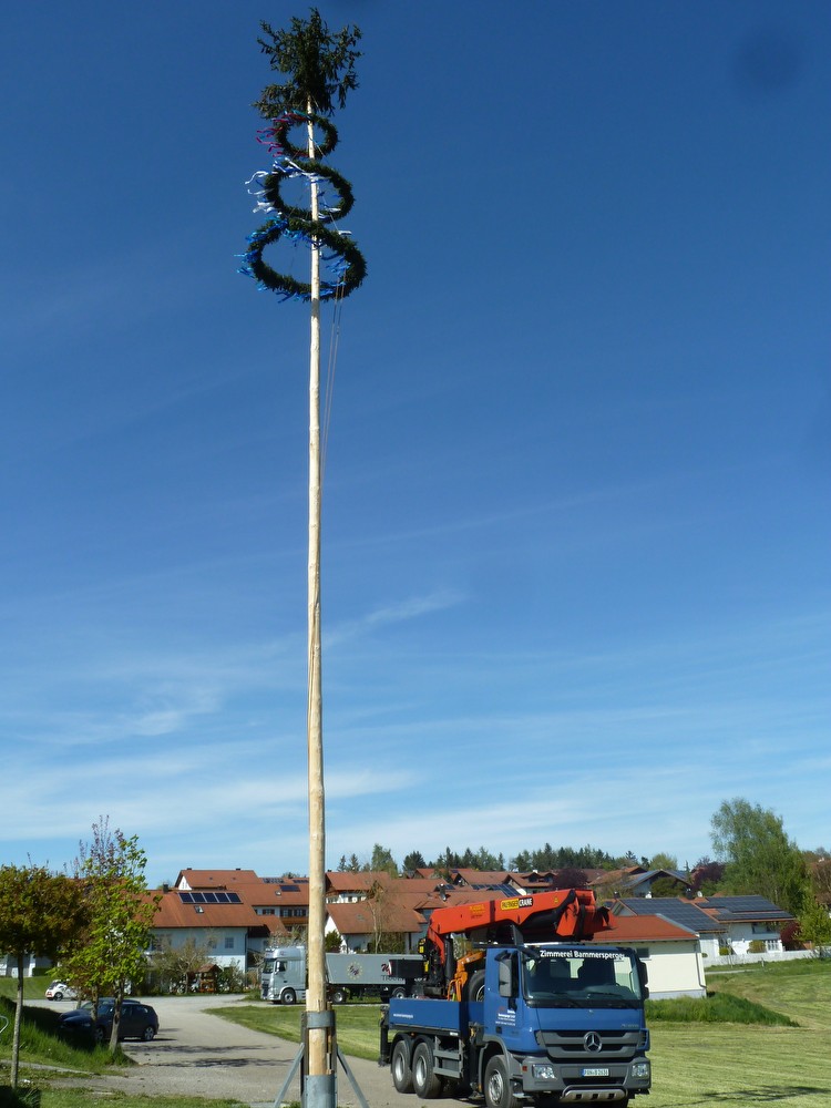 1604-maibaum-aufstellen-33.JPG