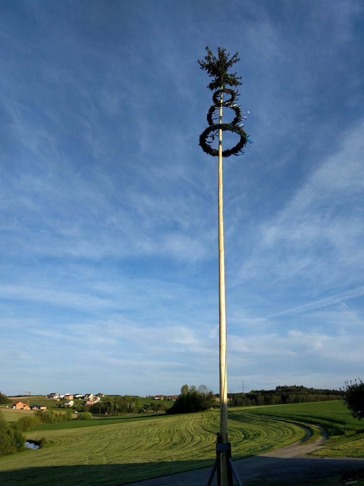 1604-maibaum-aufstellen-34.JPG