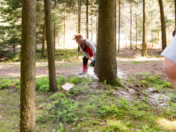 IMG 8856