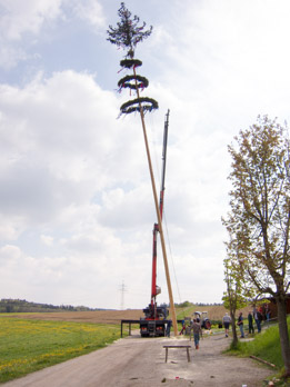 IMG 8942